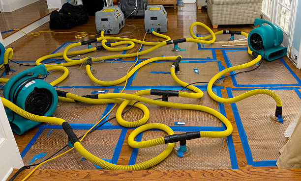 Professional Burst Pipe Water Damage technician working in Ducktown, TN
